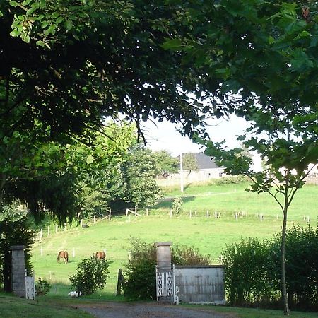 Furnished Bungalow In Monceau En Ardenne With Garden Barbecue Oizy Extérieur photo